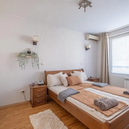 Spacious 1 Bedroom In A Lively Center Apartment